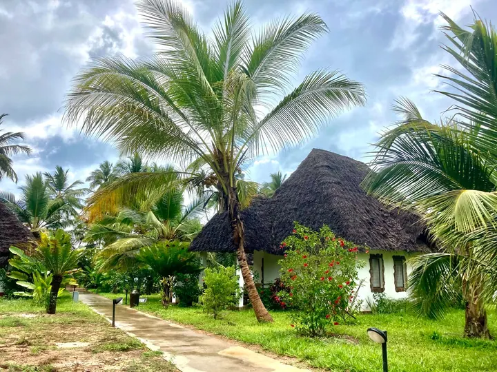 A thatched bungalow among palm trees at a Zanzibar hotel